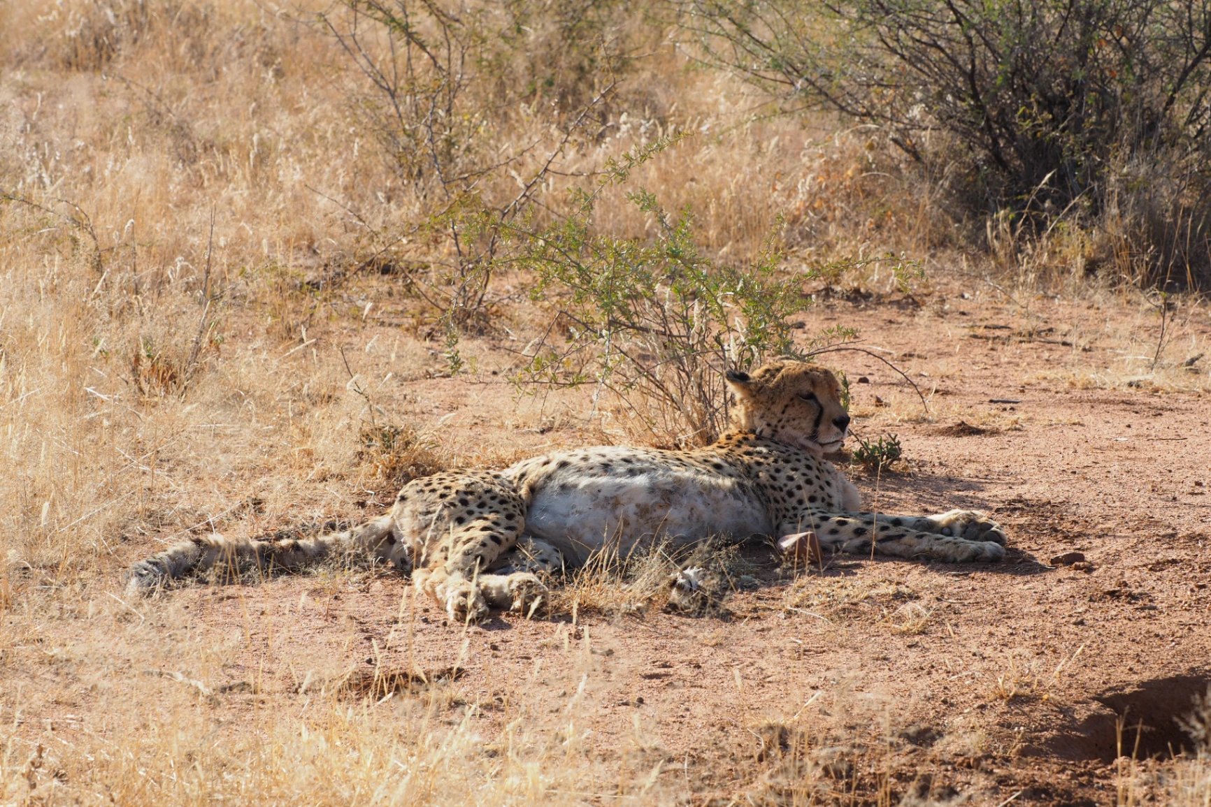 Namibia - Honeymoon